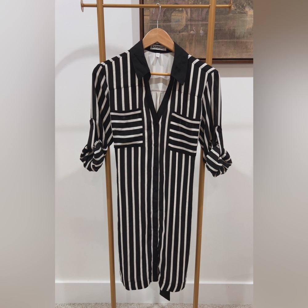 Express striped shirt dress
